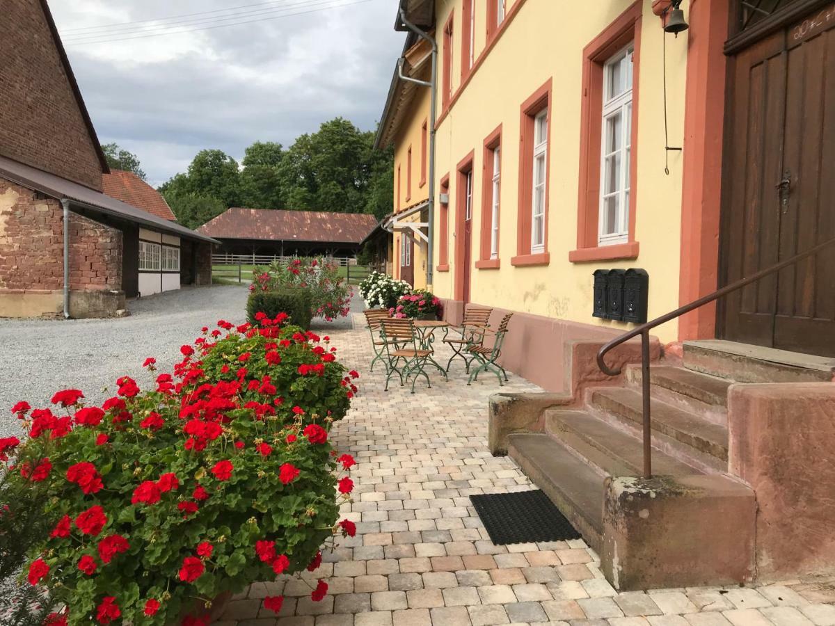 Elegantes Gaesteapartment Verano In Schloss Und Hofgut Langenzell Wiesenbach Exterior photo